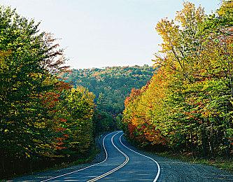 《禁闭求生2》“毛茸茸与阴森森”更新档现已上线
